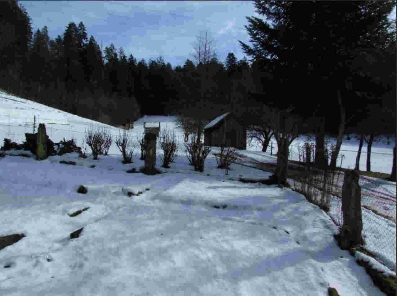 Ferienhaus Schwarzwald Seewald Erzgrube Badesee 100% Natur Kültér fotó