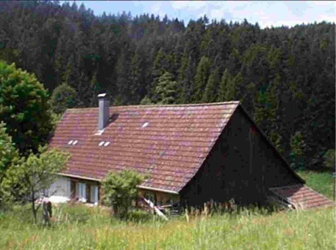Ferienhaus Schwarzwald Seewald Erzgrube Badesee 100% Natur Kültér fotó